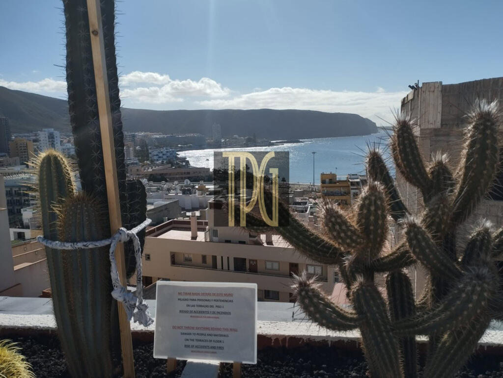 Main image of property: Canary Islands, Tenerife, Los Cristianos