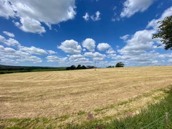 The Land