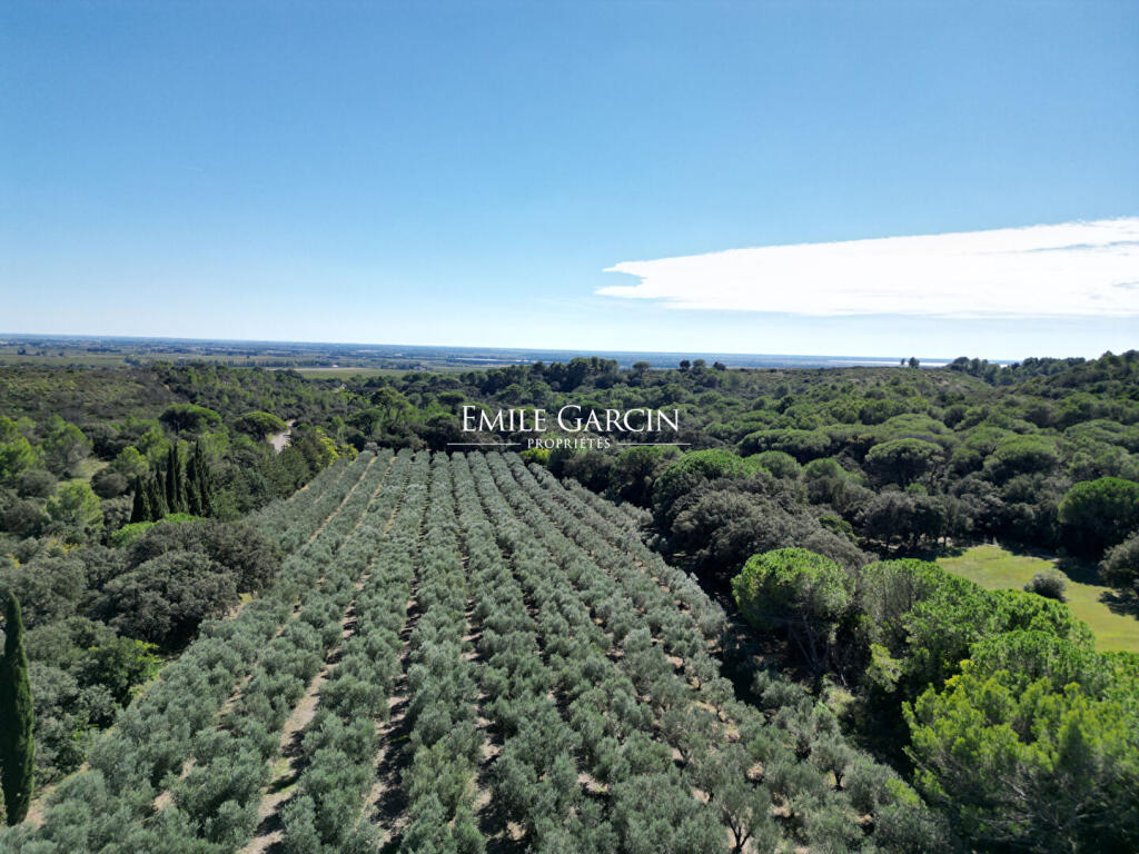 Main image of property: Languedoc-Roussillon, Gard, Nîmes