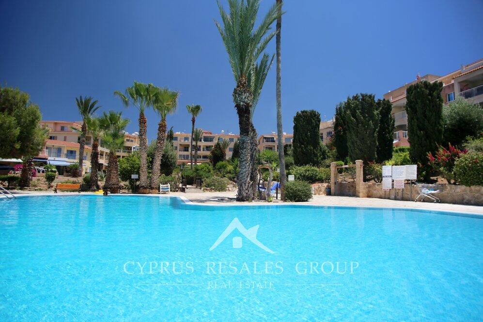 Main image of property: Kato Paphos - Paphos - Cyprus