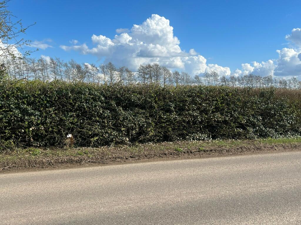 Surfleet Road, Pinchbeck, Spalding - View 3
