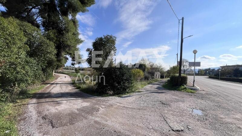 Main image of property: Thessalia, Magnesia, Almyros