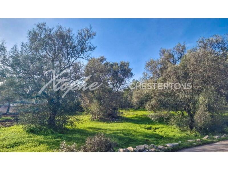 Main image of property: Algarve, São Brás de Alportel