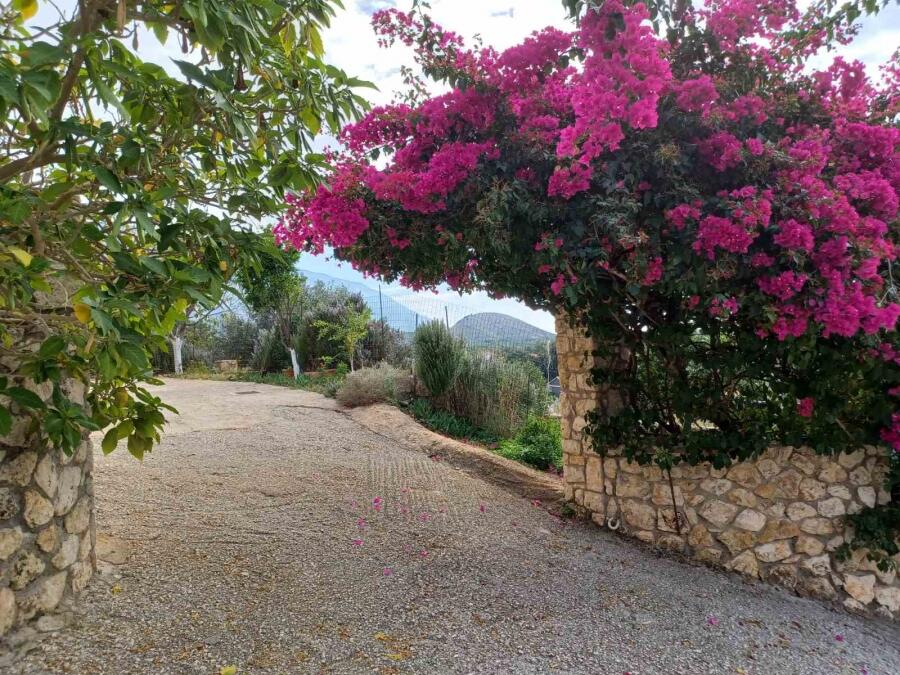 Main image of property: Ionian Islands, Cephalonia, Leivathos