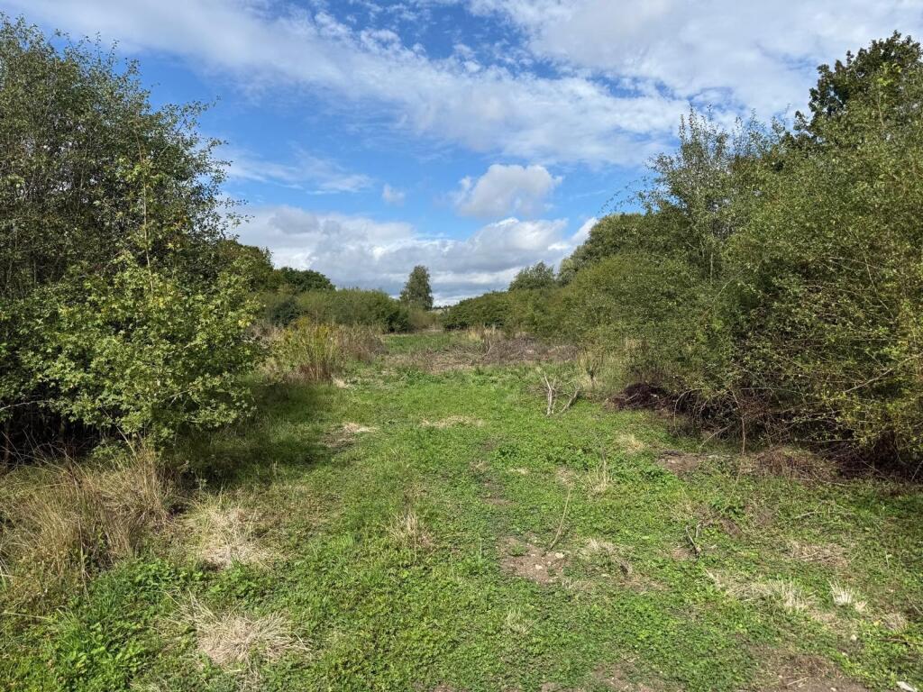 Great Gaddesden, Hemel Hempstead, HP1 3BT - View 4