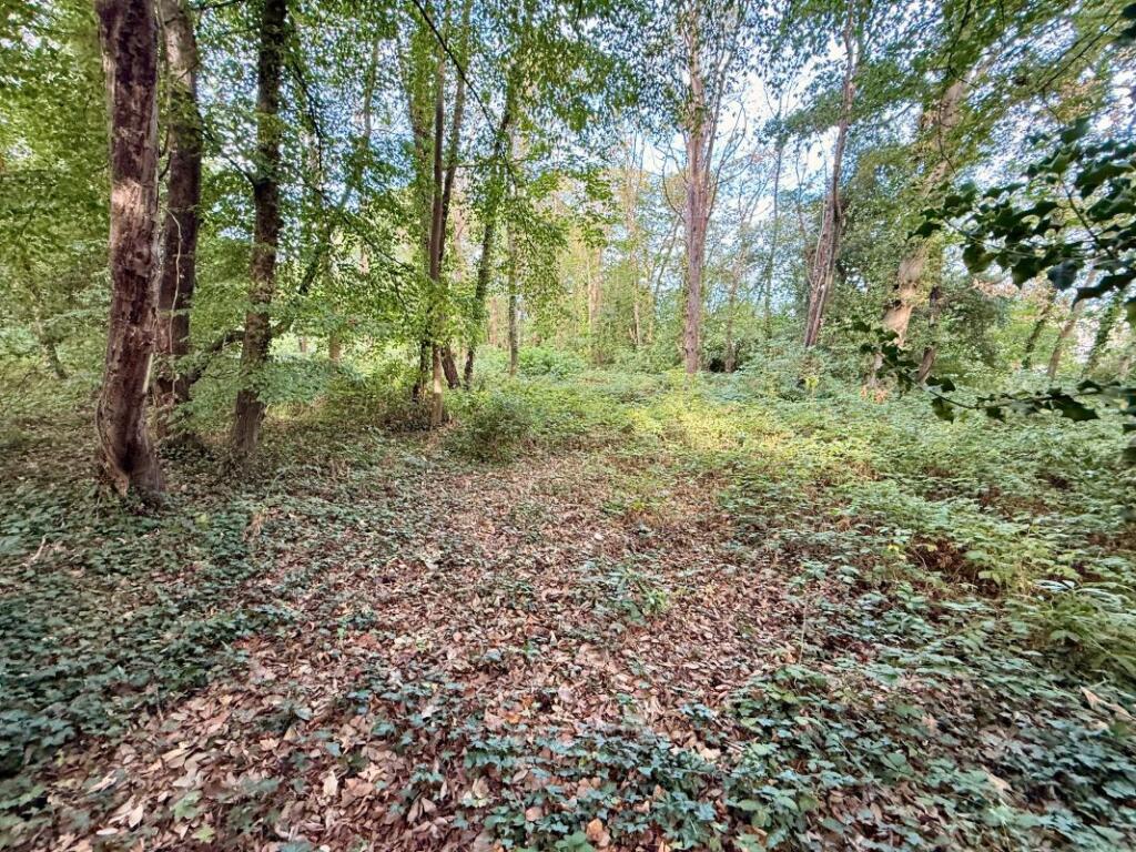 Land South of, Jesmond Avenue, Highcliffe, Christchurch, Dorset, BH23 5AY - View 3