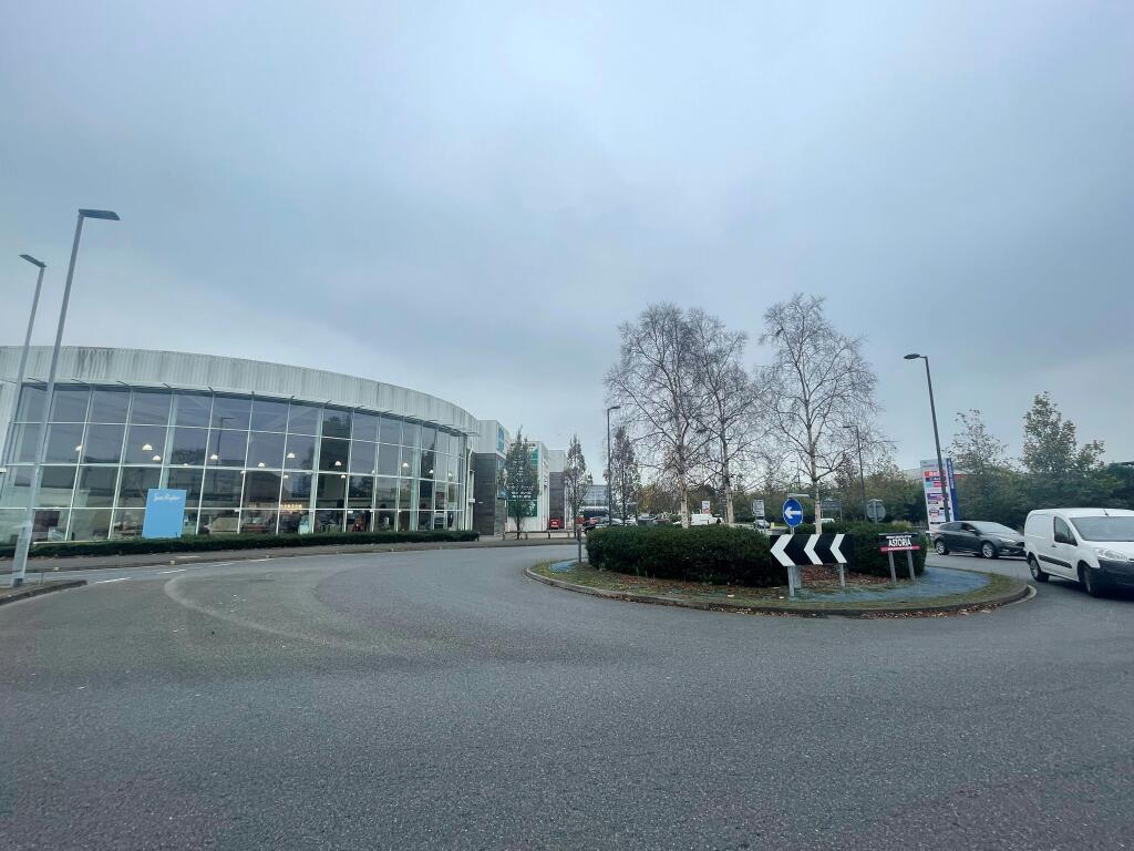 sue ryder 1.jpg