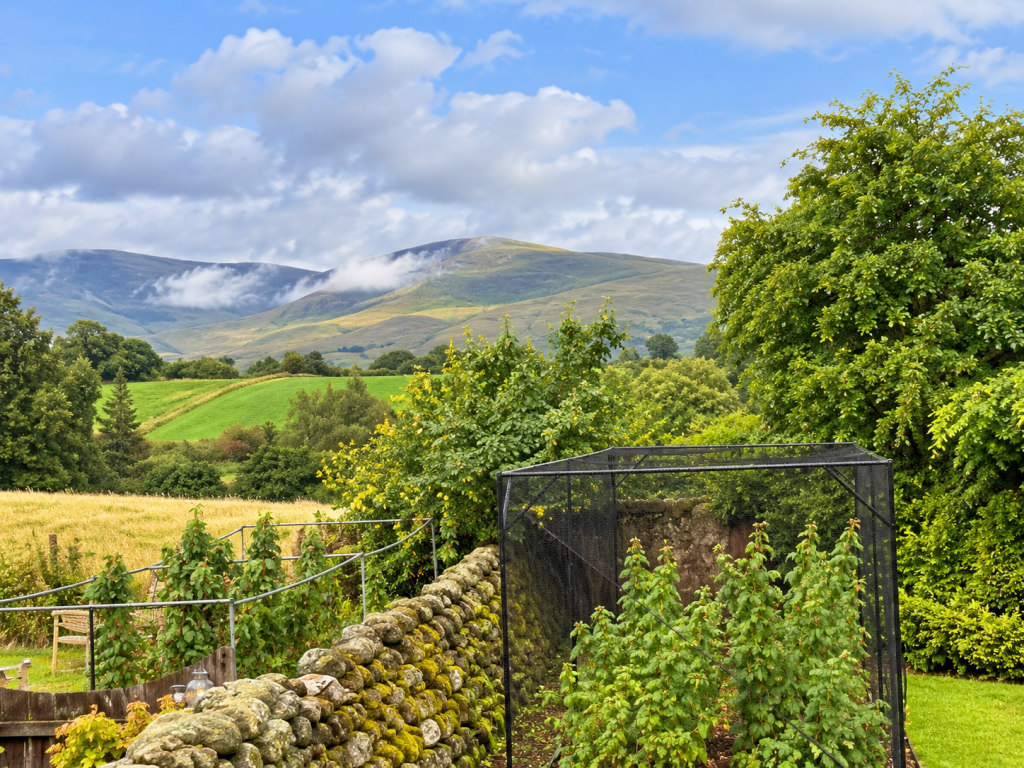 House in Carlisle - View 4