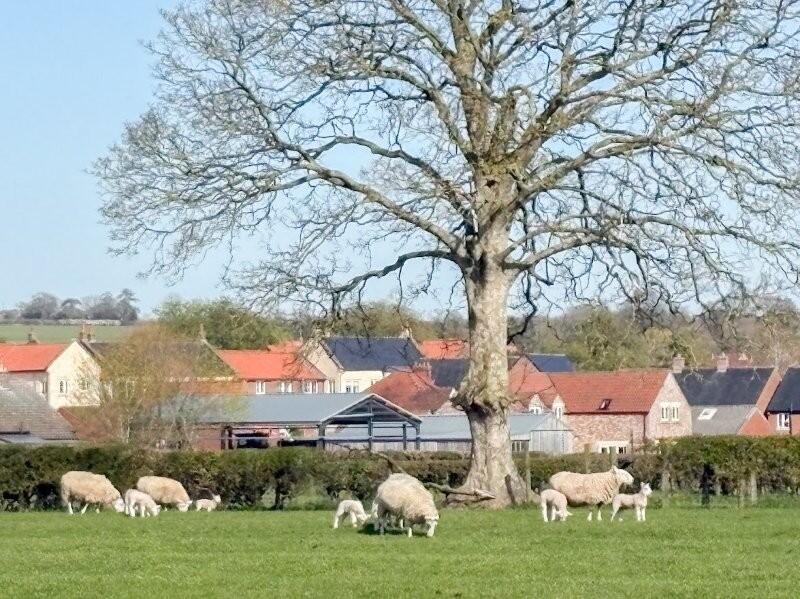 House in York - View 5