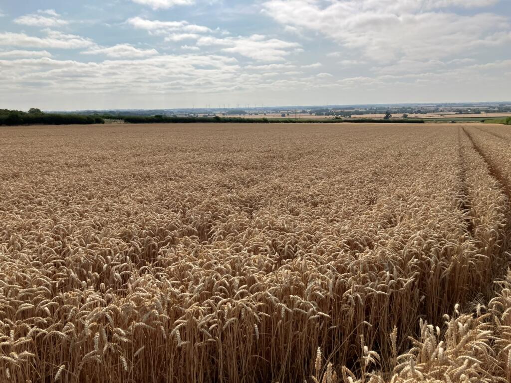 Main image of property: Nafferton, Near Driffield
