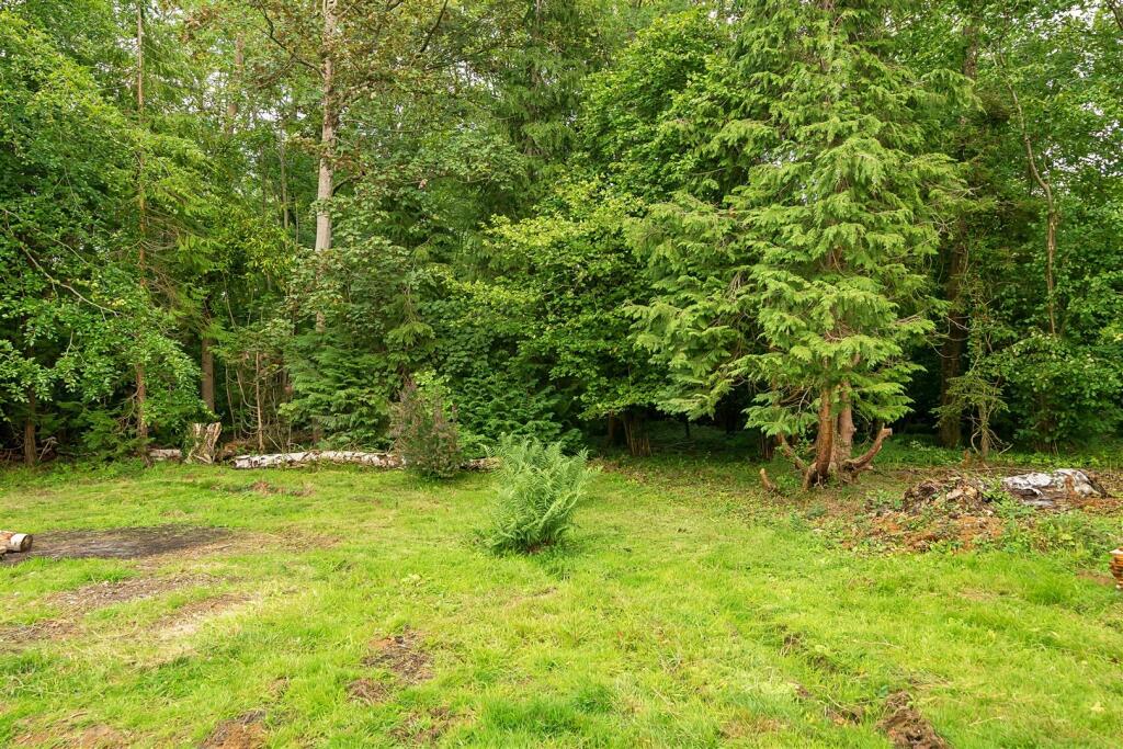 Silver Street Lane, Brokerswood photo 2
