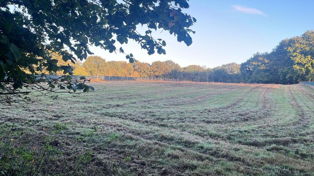 Talamh, 7200 m²