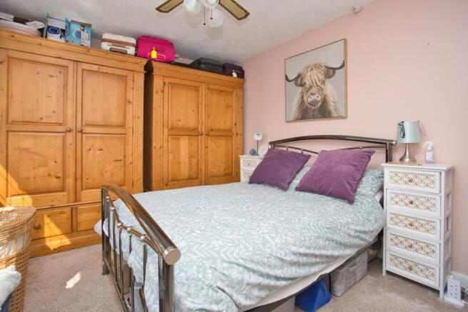 Picture 8