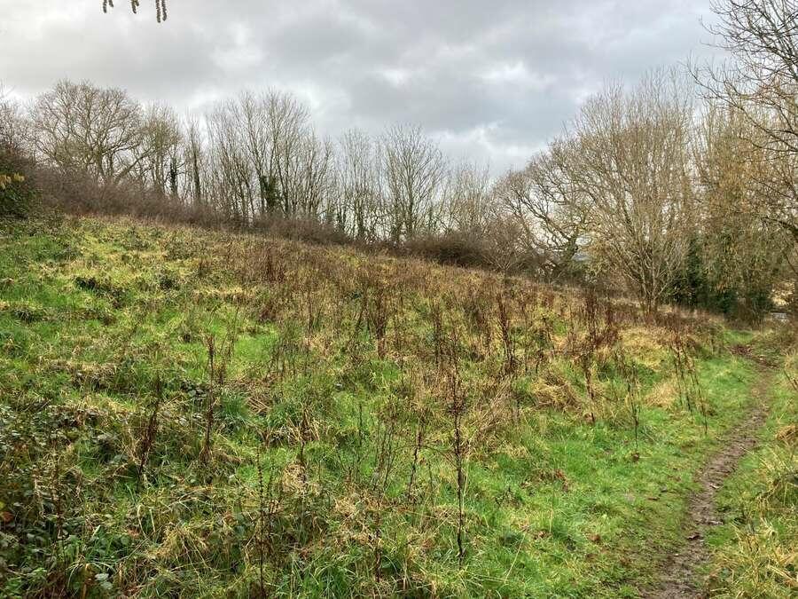 Main image of property: Amenity Woodland, Milford Lane, Plymouth