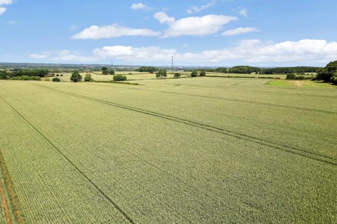 Land
