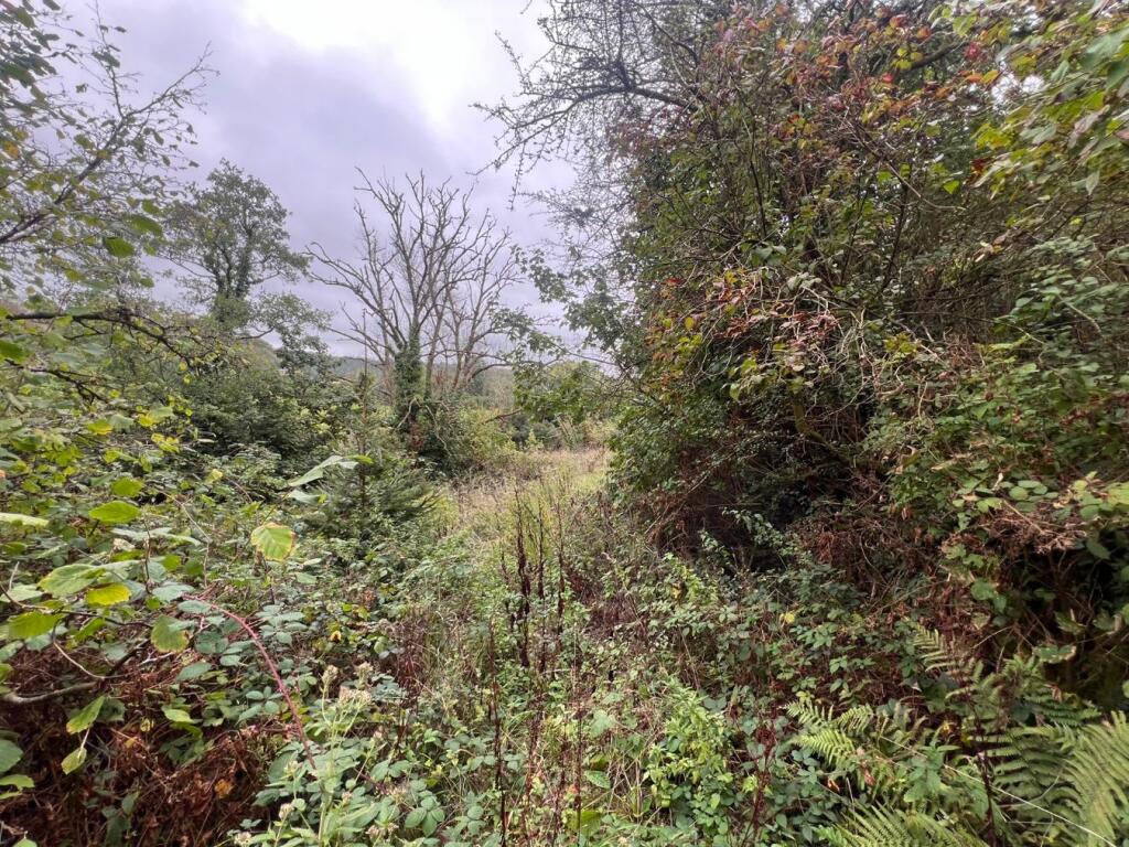 Abercych, Boncath, SA37 - View 3