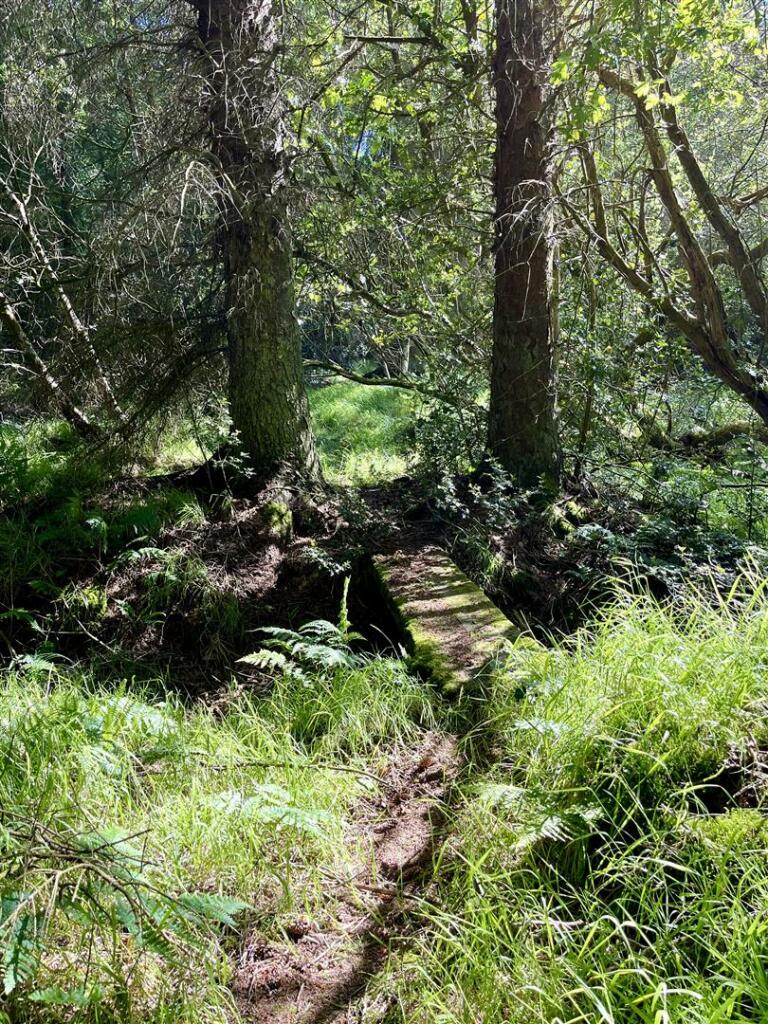 Main image of property: Nr The Bog, Minsterley, Shrewsbury