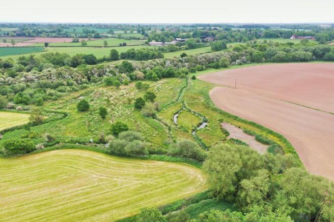 Wetland & Woodland