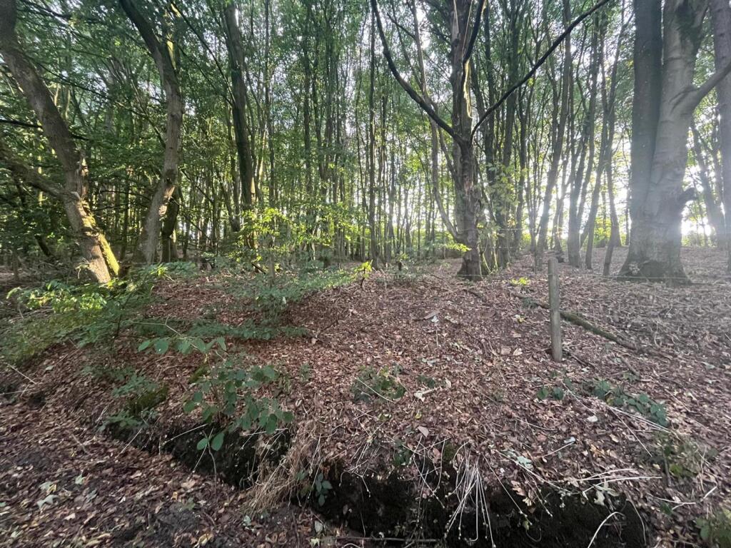 Tickhill Lane, Dilhorne, Stoke On Trent - More