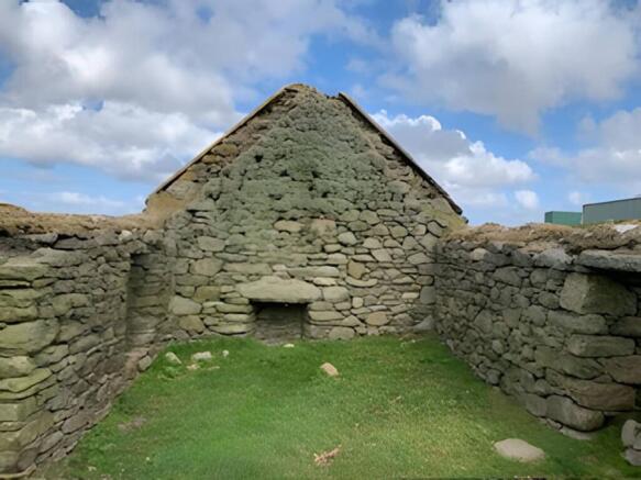 MFL0245741_905.jpg