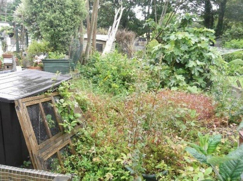 Bears Terrace, TR16 photo 5