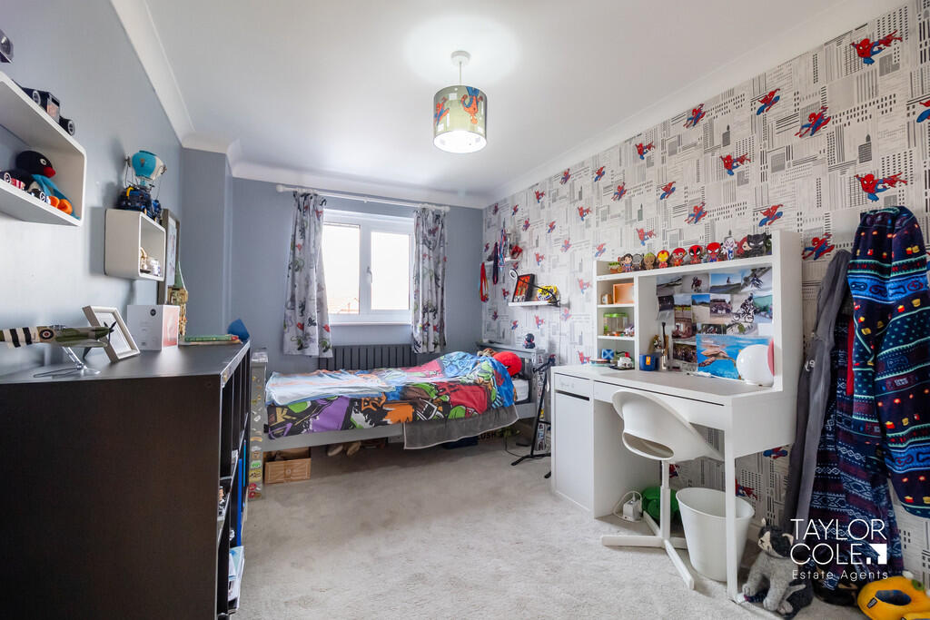 Additional image 33 of Shannon, Belgrave