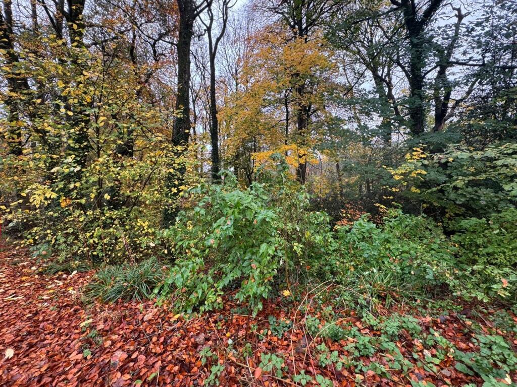 Approximately. 1.95 acres of Woodland Miskin, Pontyclun, CF72 8PE photo 3