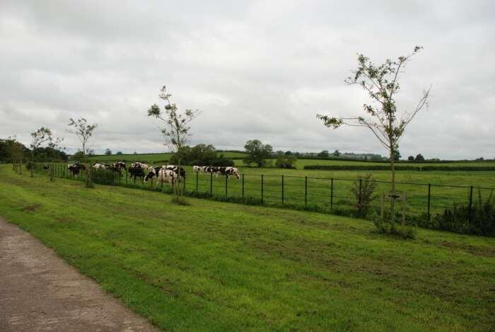 Additional image 14 of Evercreech