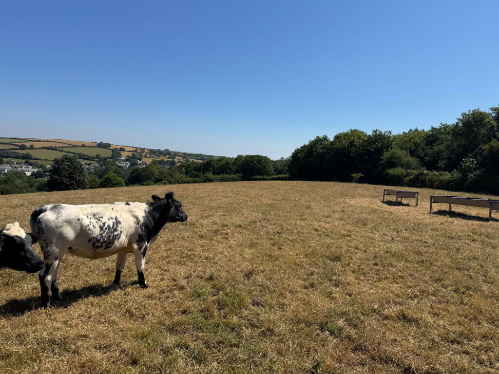 Chillington, Kingsbridge - Lot 2 - More