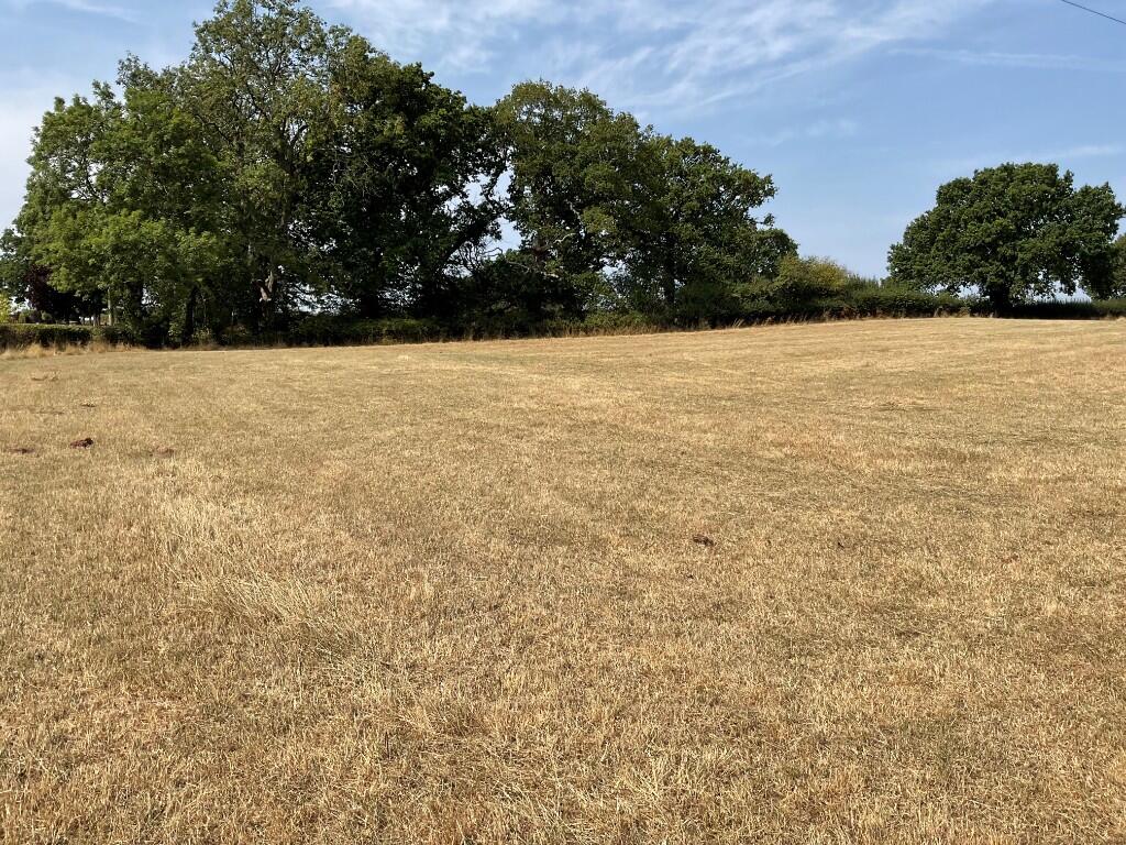 Main image of property: Lot 1: Land Formerly Part of Cassandra Farm, Caerleon, Monmouthshire