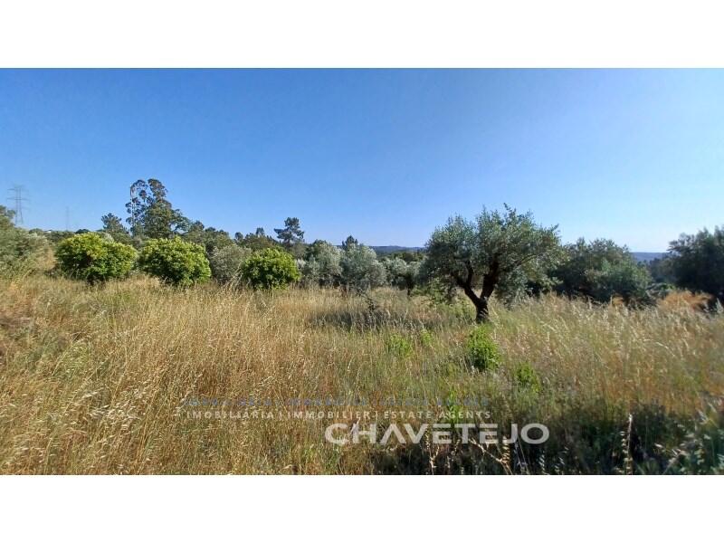 Main image of property: Ribatejo, Tomar