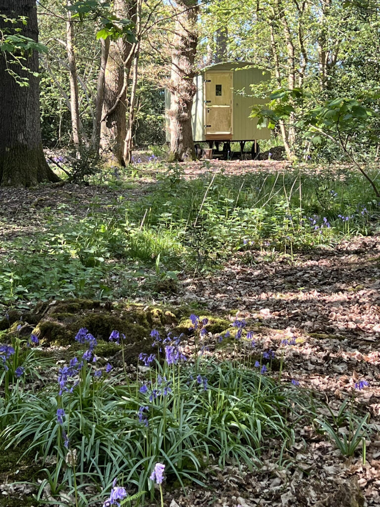 Main image of property: Hogpits Wood, Hogpits Bottom, Flaunden, Hemel Hempstead, Hertfordshire, HP3 0PU
