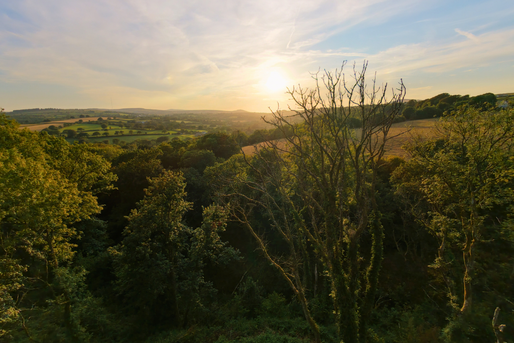 House in Swansea - View 4