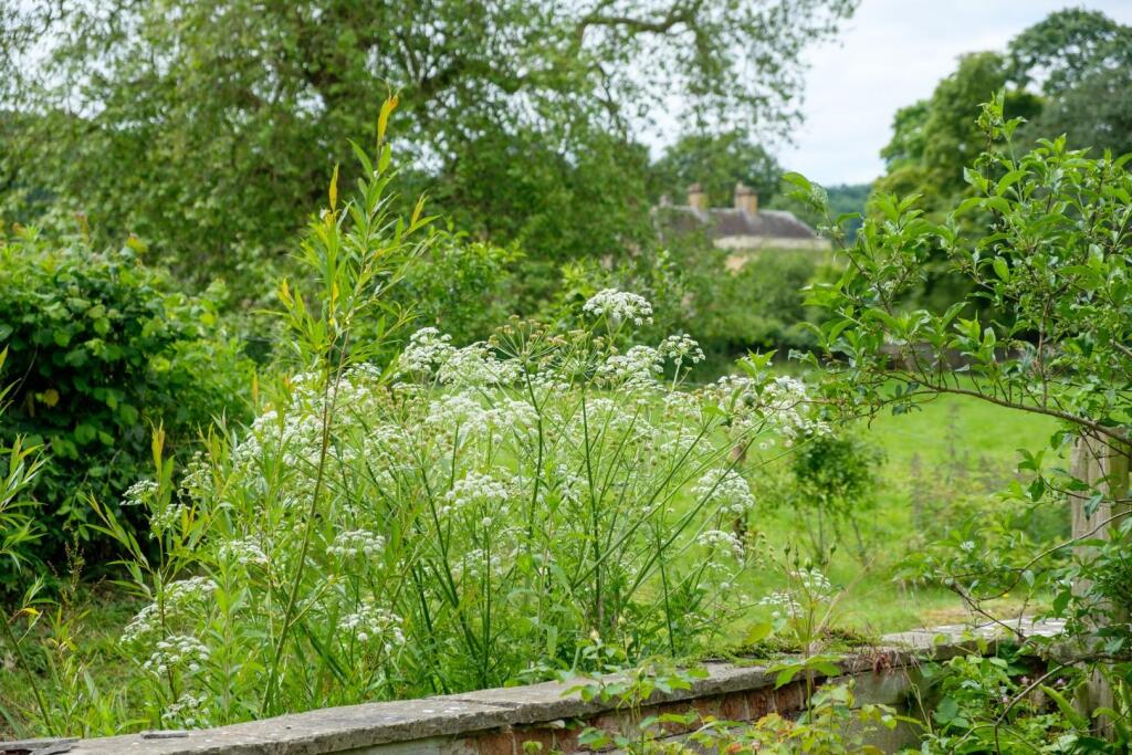 Additional image 58 of Compton Pauncefoot, Somerset