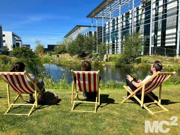 Deck Chairs.jpg