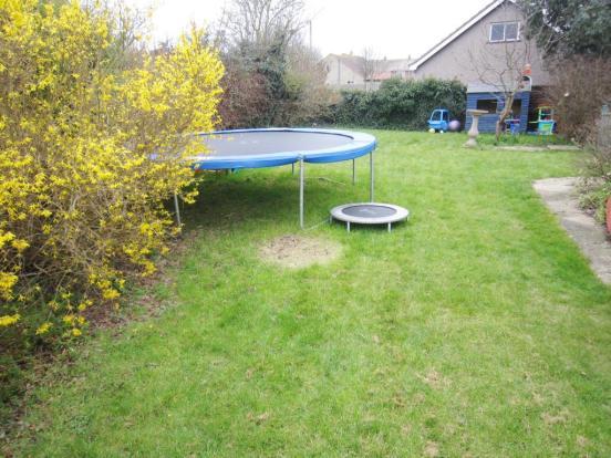 Photo of the property