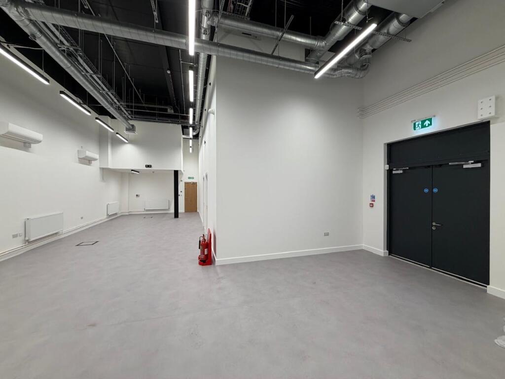 p5.jpg