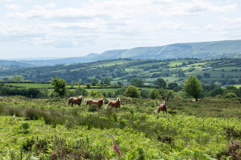 Main image of property: Vagar Hill, Craswall, Herefordshire