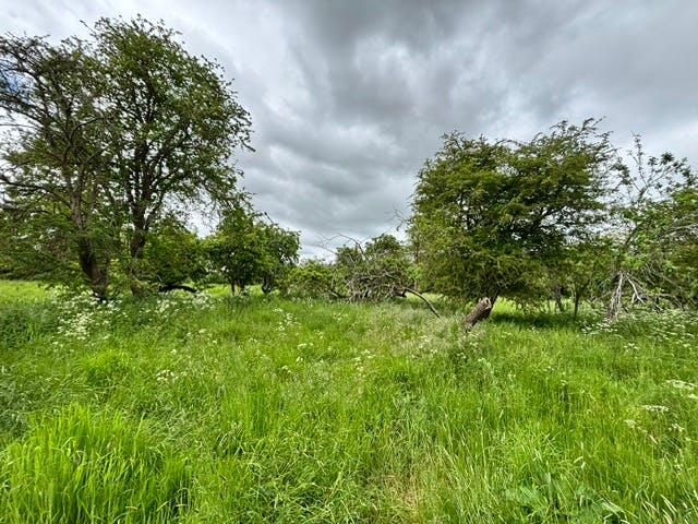 P26-0987_Allimore Lane (43)(1.0).jpg