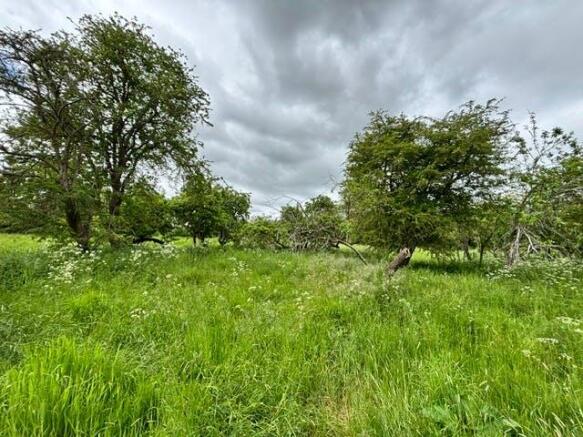 P26-0987_Allimore Lane (43)(1.0).jpg