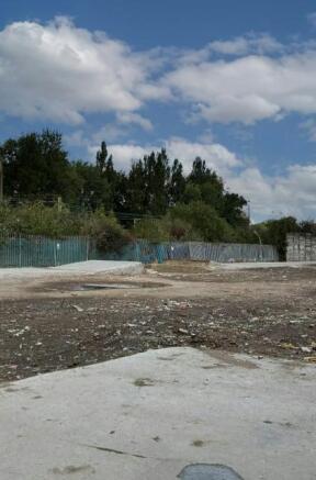 Harlow 1.jpeg