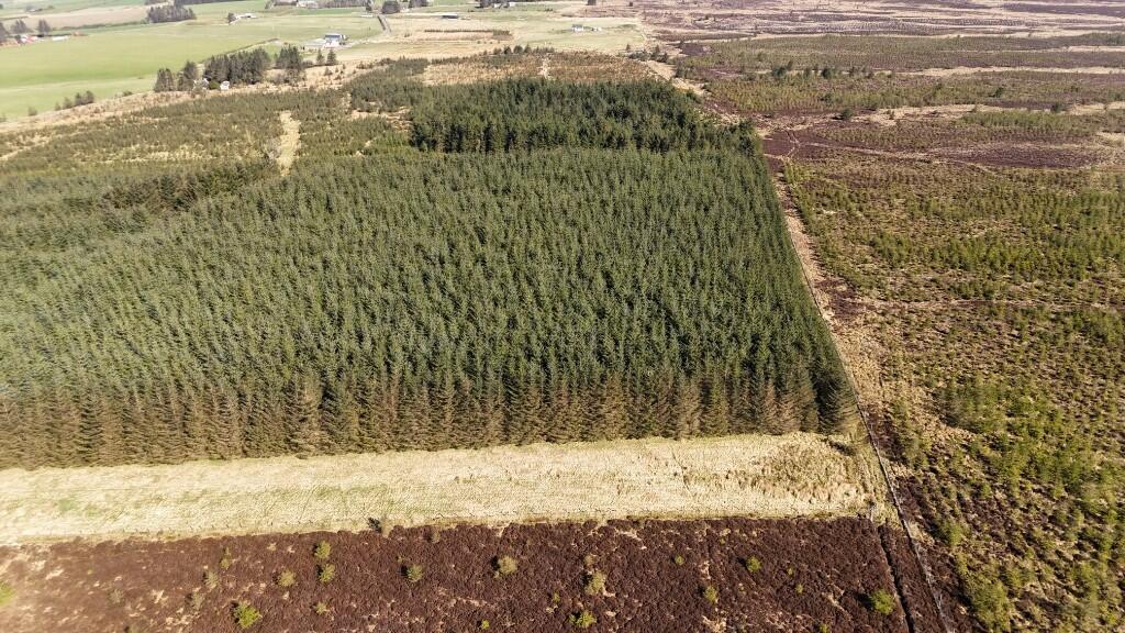 Additional image 6 of Woodland at Broadmuir, Hill of Fisherie, Turriff, AB53 5QL