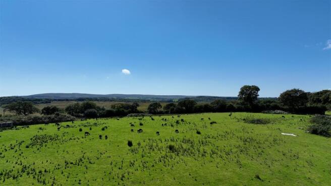 big paddock.jpg