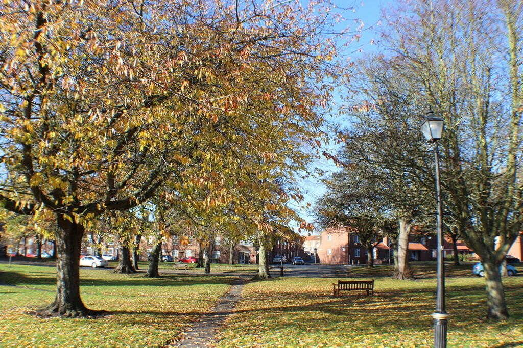 Quay Road, Bridlington photo 3