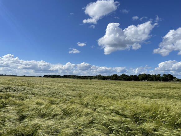 Arable Land For Sale
