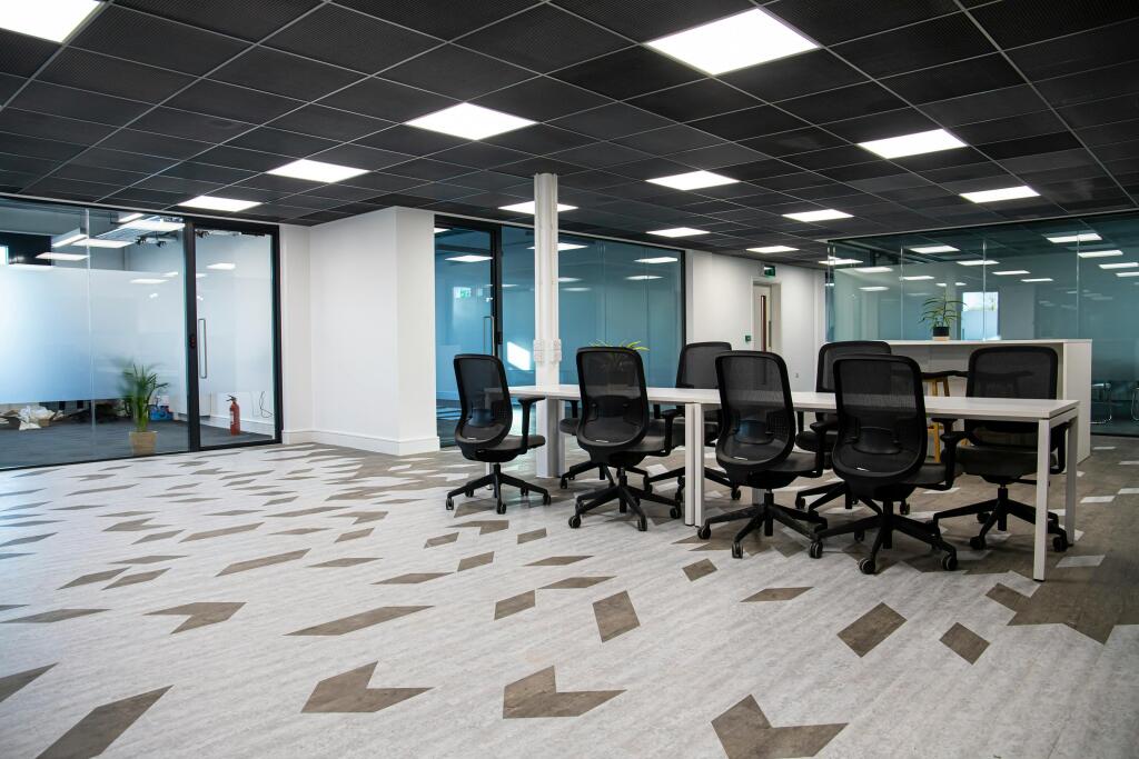 IMG_2100_EDIT_RGB.jpg