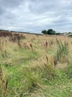 Land for sale in Coal Pit Lane, Bacup, OL13 – pohled 4