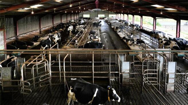 Former Dairy Complex