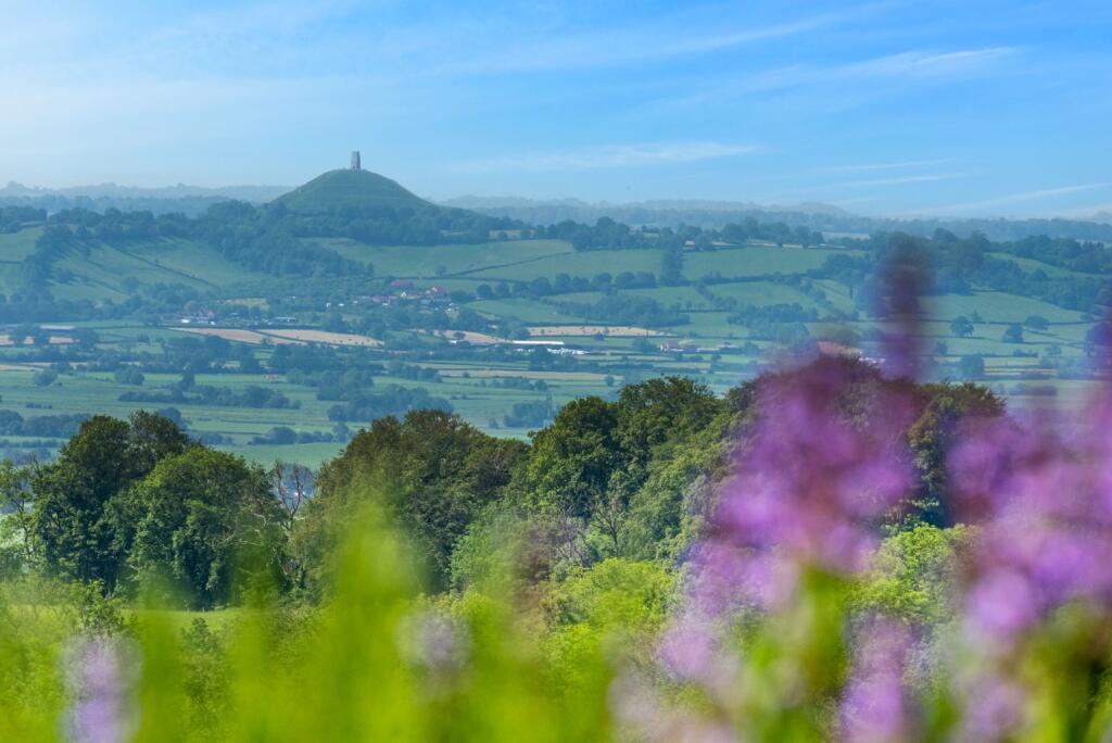 West Horrington, Wells, Somerset photo 4