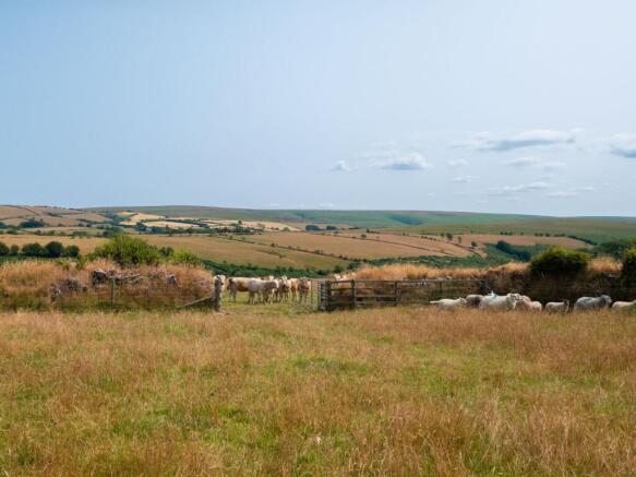 Combe Park